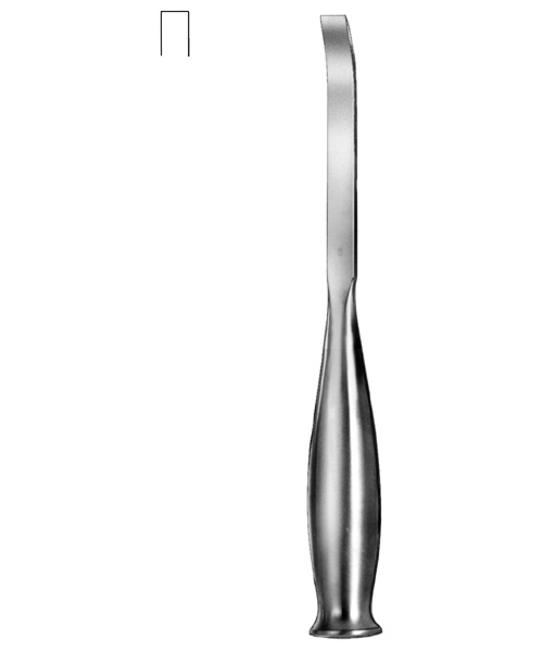 6087.jpg
